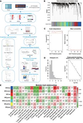 Multi-Omics Profiling Identifies Risk Hypoxia-Related Signatures for Ovarian Cancer Prognosis